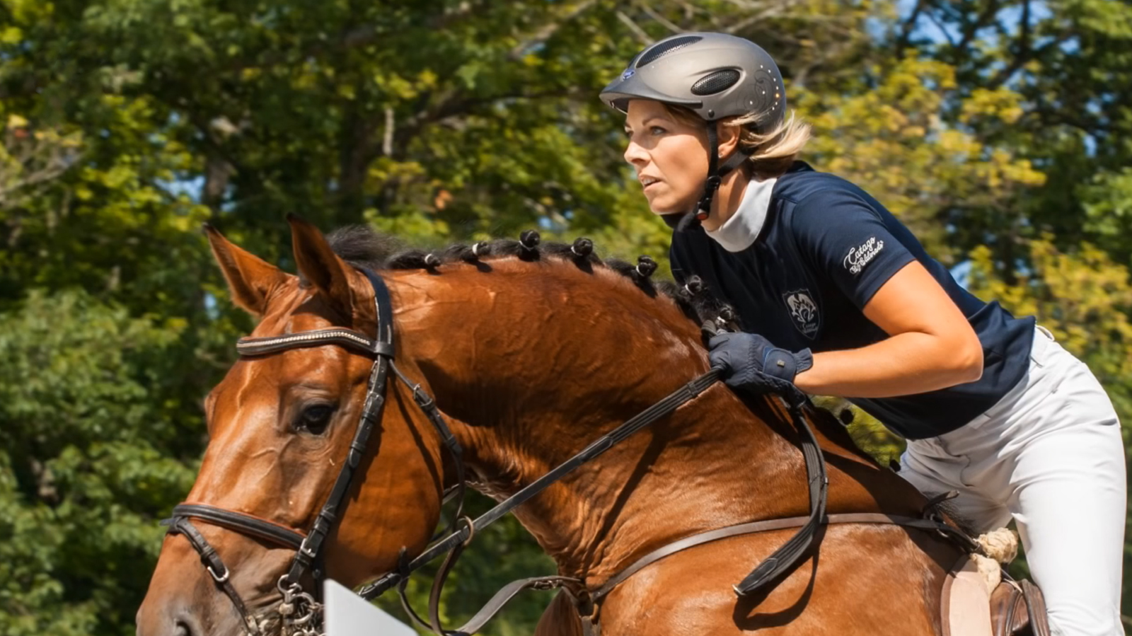 Sedina Horse Show – 5-6 września 2015 Szczecin